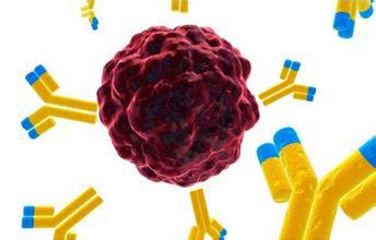 Biosynex�[����(bi��o)ӛ����ٙz�yԇ���У��z�w�𷨣�